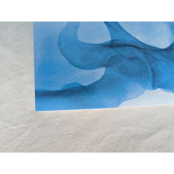 Lorde Signed Vinyl Virgin LP Autographed X-Ray Picture Disc - Picture 10 of 16